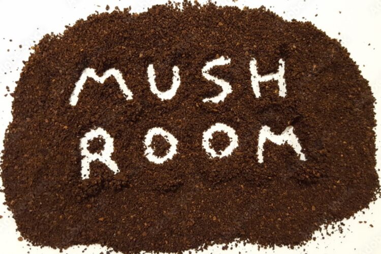 Mushroom-Coffee