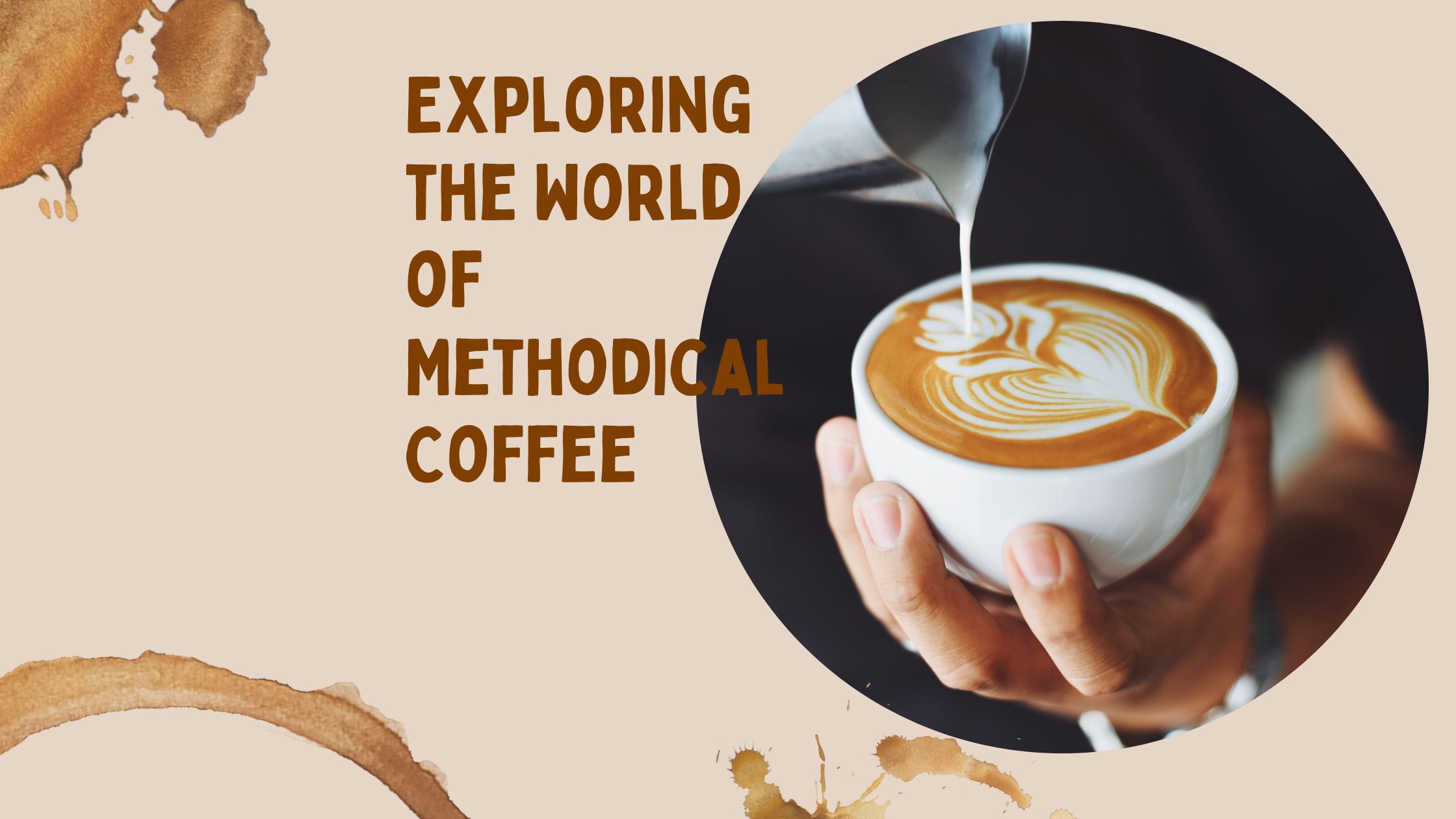 Exploring the World of Methodical Coffee A Journey of Flavors